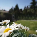 아파트호텔 Balaton Fuered 블로톤퓌레드