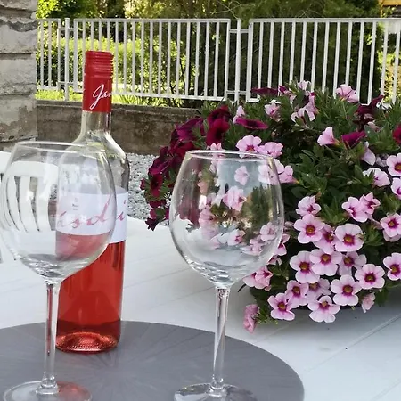 Balaton Fuered מלון דירות 3*