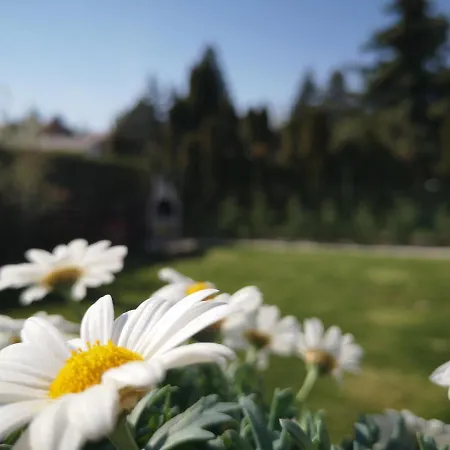 Aparthotel Balaton Fuered Balatonfüred