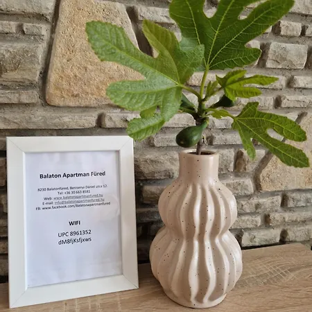 Balaton Fuered 3* באלאטונפורד