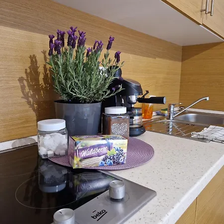 Aparthotel Balaton Fuered Balatonfüred