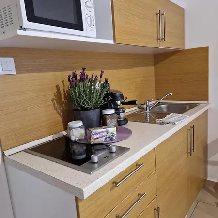 מלון דירות Balaton Fuered