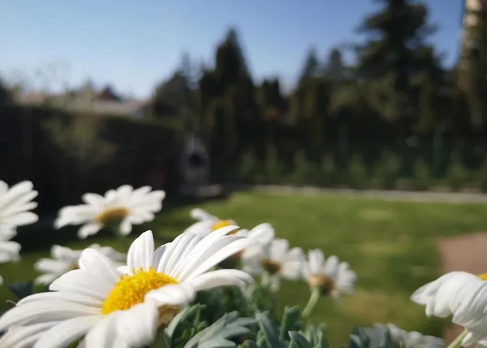 Ξενοδοχείο με διαμερίσματα Balaton Fuered Balatonfüred