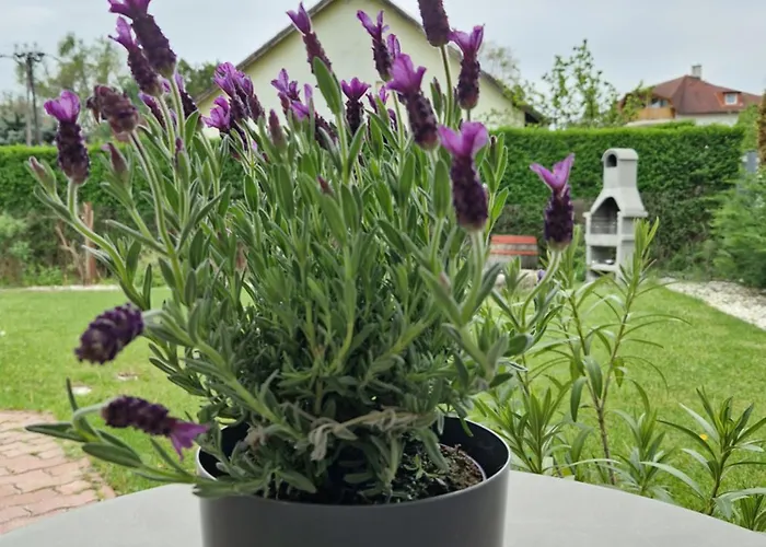 Balaton Fuered Balatonfüred